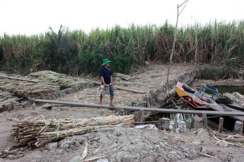 发展伙伴和赞助商就越南应对干旱与海水入侵建言献策 ảnh 1 发展伙伴和赞助商就越南应对干旱与海水入侵建言献策 ảnh 1