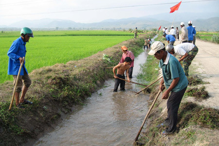九龙江三角洲11个省公布旱灾和海水入侵情况 ảnh 2