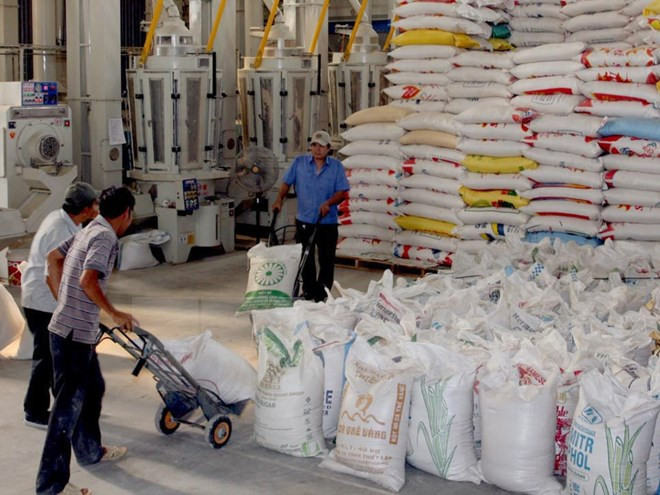 越南农产品出口的动力及展望 ảnh 4