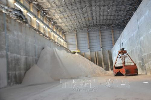 越南得农省氧化铝出口额达5000万美元 ảnh 1