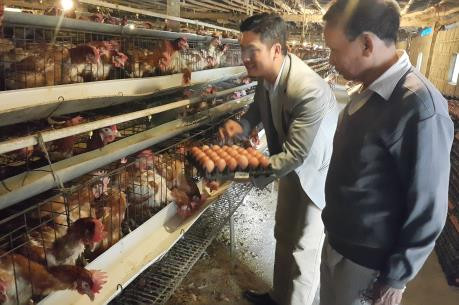 富寿省实施2012年《合作社法》取得积极成效 ảnh 1