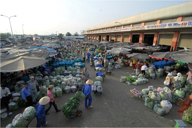 上半年河内市农业总产值增长2.85% ảnh 1