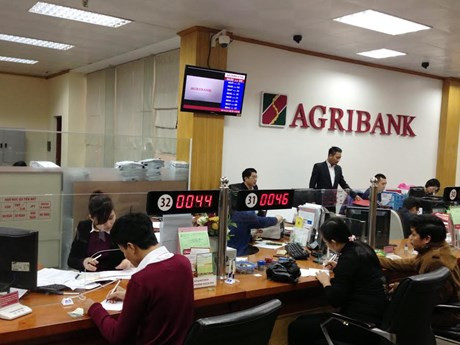 Agribank银行西贡分行前行长等人因涉嫌违法发放贷款被提起诉讼 ảnh 1  Agribank银行西贡分行前行长等人因涉嫌违法发放贷款被提起诉讼 ảnh 1