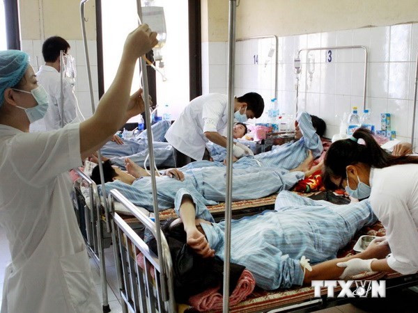 越南全国报告的登革热病例5万例 ảnh 1 越南全国报告的登革热病例5万例 ảnh 1