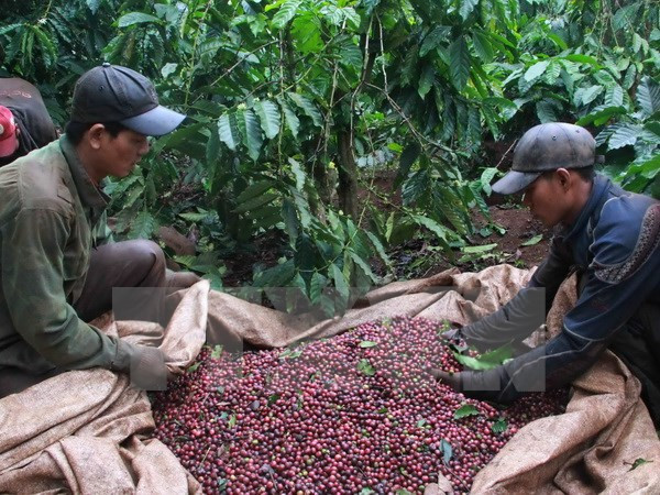 越南对阿尔及利亚出口同比增长37% ảnh 1