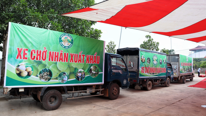 致力于翻开越南与澳大利亚关系的历史新篇章 ảnh 2 致力于翻开越南与澳大利亚关系的历史新篇章 ảnh 2