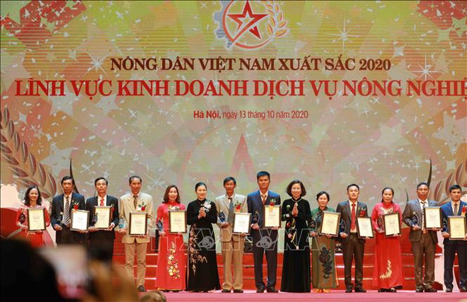 越南63名优秀农民受表彰 ảnh 1 越南63名优秀农民受表彰 ảnh 1