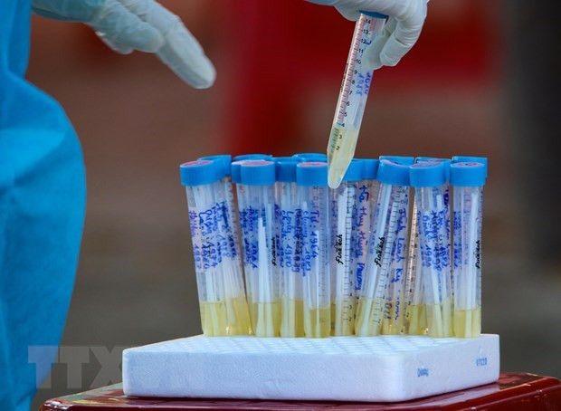 越南新增2例输入性新冠肺炎确诊病例 ảnh 1