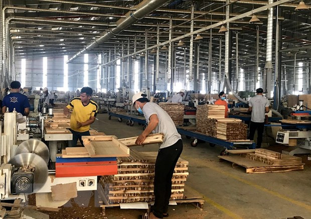 平阳省的进出口情况仍保持良好增长趋势 ảnh 1 平阳省的进出口情况仍保持良好增长趋势 ảnh 1