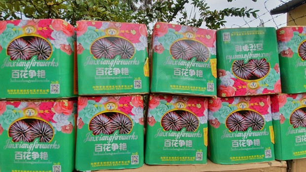 广治省边防查处一起非法运输65公斤烟花案件 ảnh 1 广治省边防查处一起非法运输65公斤烟花案件 ảnh 1