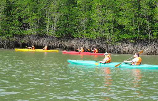 胡志明市开发7个农业和生态旅游计划 ảnh 2