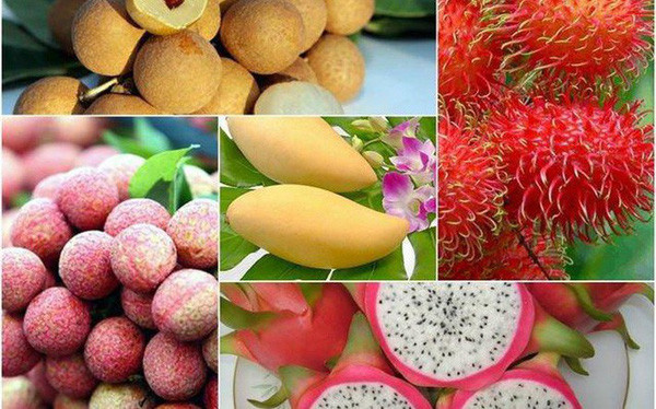 越南农产品出口连续迎来喜讯 ảnh 1 越南农产品出口连续迎来喜讯 ảnh 1