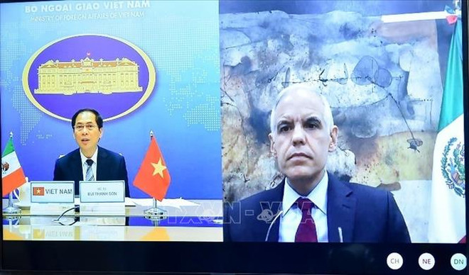 越南与墨西哥两国外交部副部长举行线上会谈 ảnh 1