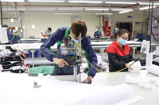 协助企业充分利用EVFTA的优惠待遇加强对荷兰出口 ảnh 2 协助企业充分利用EVFTA的优惠待遇加强对荷兰出口 ảnh 2