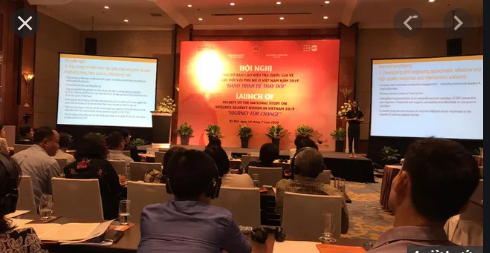 越南妇女遭受暴力情况国家调查结果出炉 ảnh 1