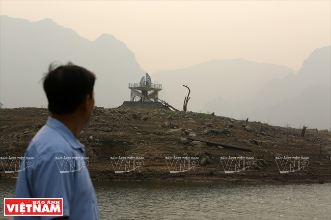 琼崖县的“故乡草” ảnh 2