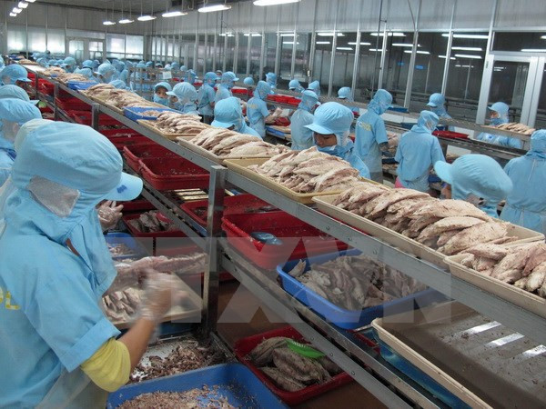 薄辽省水产品出口额呈下降趋势 ảnh 1 薄辽省水产品出口额呈下降趋势 ảnh 1