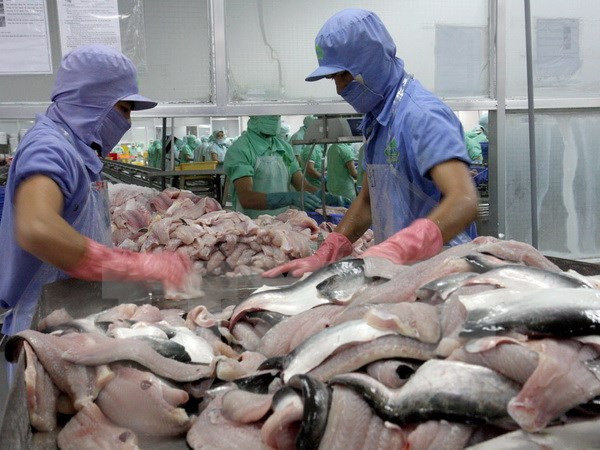 2016年下半年芹苴市出口额将快速增长 ảnh 1 2016年下半年芹苴市出口额将快速增长 ảnh 1