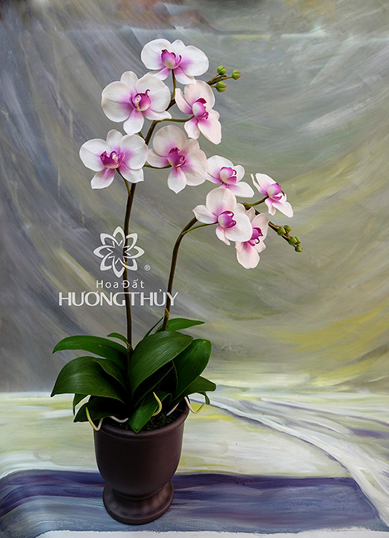 黏土花满足人们的审美情趣 ảnh 2  黏土花满足人们的审美情趣 ảnh 2