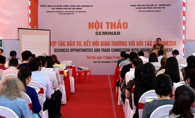 推动芹苴市与印尼的多方面合作 ảnh 1 推动芹苴市与印尼的多方面合作 ảnh 1