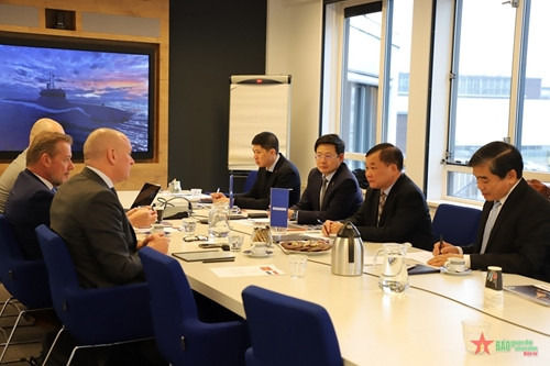 越南国防部代表团对荷兰达门造船集团进行工作访问 ảnh 2