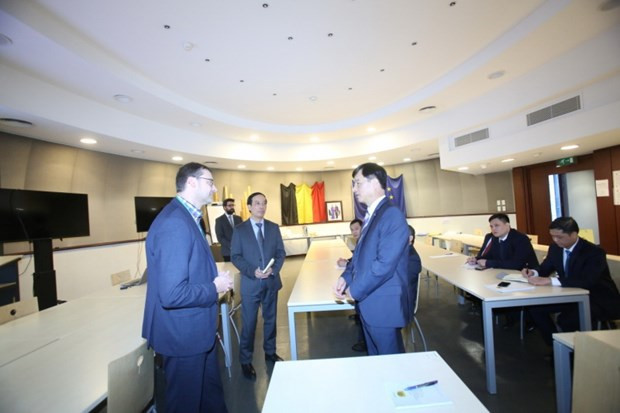 越南与比利时开展人口数据库建设与应用经验交流 ảnh 1