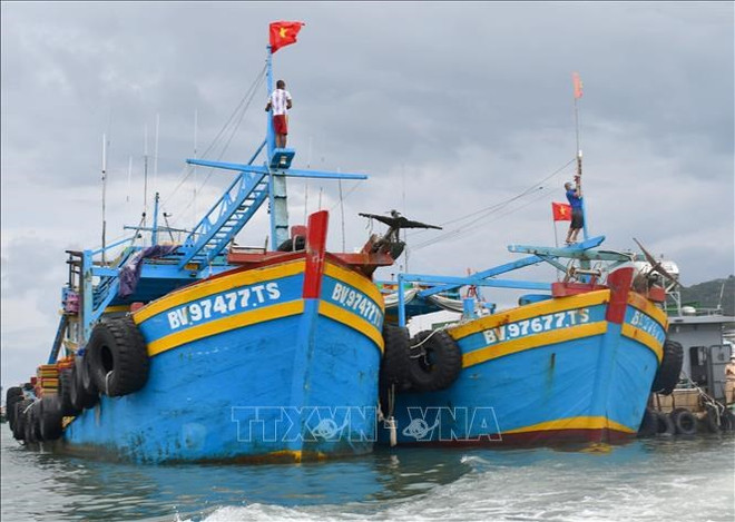 解除IUU“黄牌”警告:巴地头顿省严厉处理未安装渔船监视系统的渔船 ảnh 1 解除IUU“黄牌”警告:巴地头顿省严厉处理未安装渔船监视系统的渔船 ảnh 1