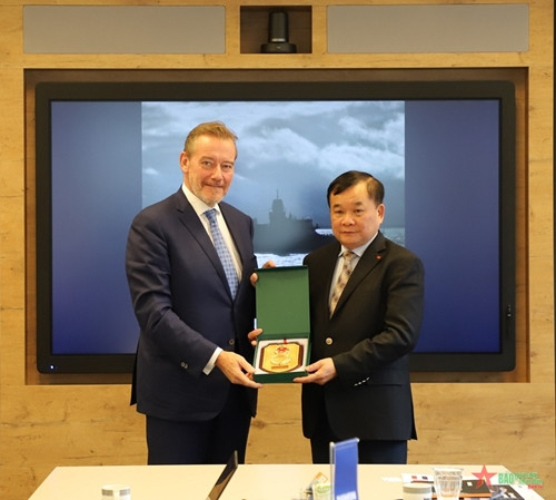 越南国防部代表团对荷兰达门造船集团进行工作访问 ảnh 1