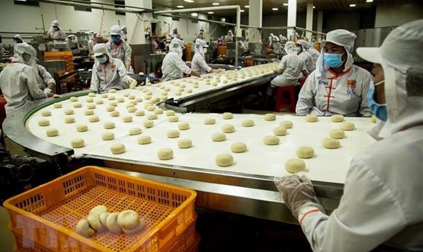 越南和印度尼西亚合作成为该地区的经济火车头 ảnh 2 越南和印度尼西亚合作成为该地区的经济火车头 ảnh 2