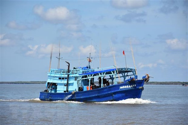 采取长远措施 解除IUU“黄牌”警告 ảnh 2 采取长远措施 解除IUU“黄牌”警告 ảnh 2