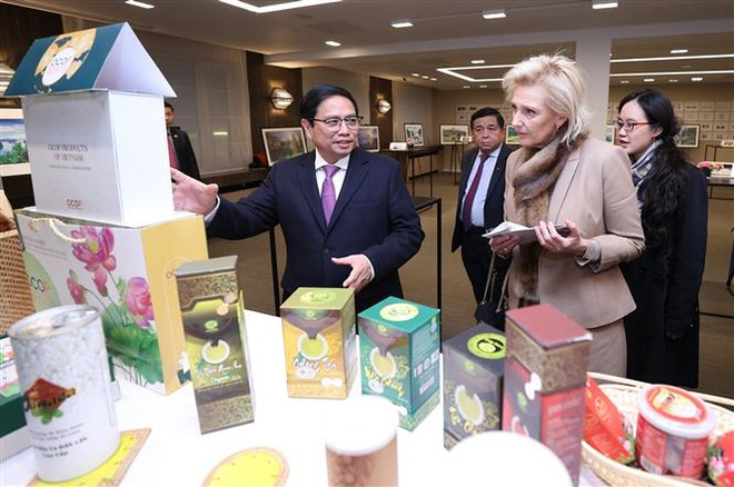 越南政府总理范明政出席越比企业论坛 ảnh 2 越南政府总理范明政出席越比企业论坛 ảnh 2