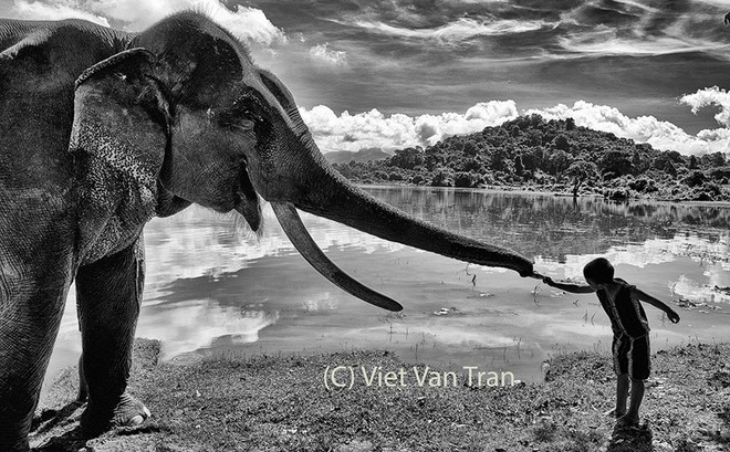 《劳动报》记者获得2022年纽约摄影大赛银奖 ảnh 1