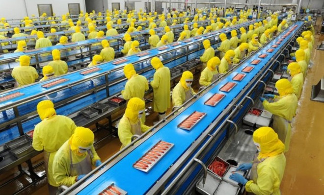 越南经济复苏计划至少延长两年 ảnh 1