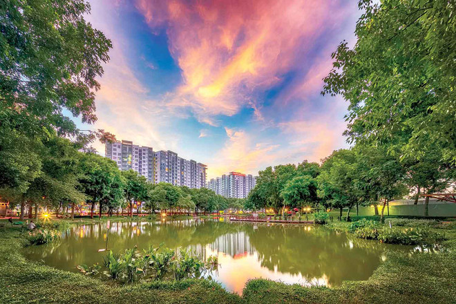 金务大置地房地产发展商加大对越南市场的投资力度 ảnh 1