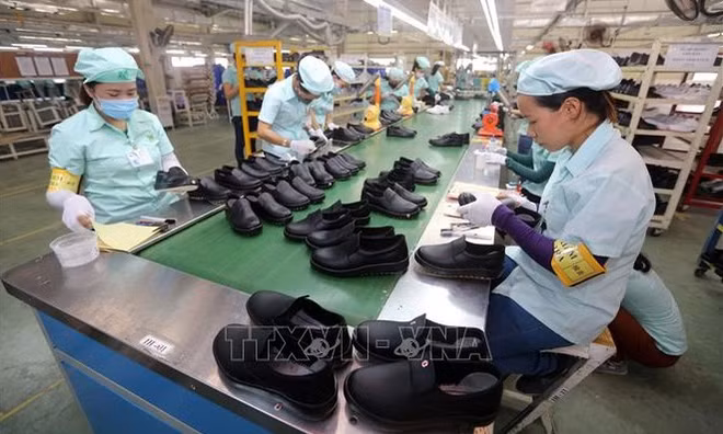 鞋类产品出口：设在越南的工厂占主导地位 ảnh 1