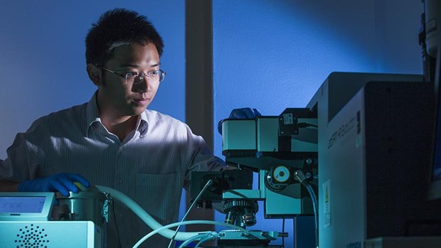 在澳的越南青年科学家荣获2021年金球科技奖 ảnh 1 在澳的越南青年科学家荣获2021年金球科技奖 ảnh 1