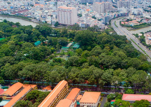 胡志明市改造城市绿化景观,提升人居环境 ảnh 1 胡志明市改造城市绿化景观,提升人居环境 ảnh 1