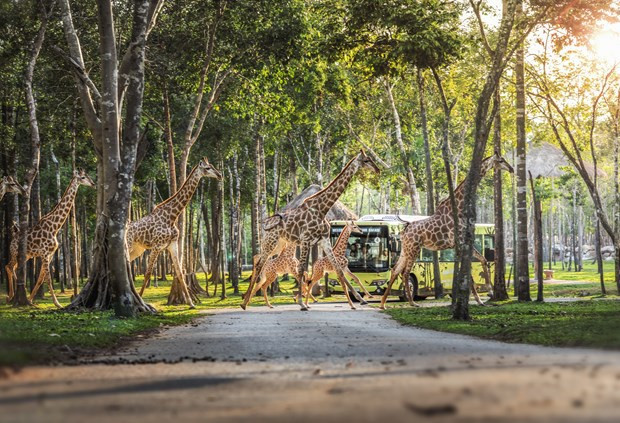 越南推出国际游客专访旅游宣传专栏 ảnh 3