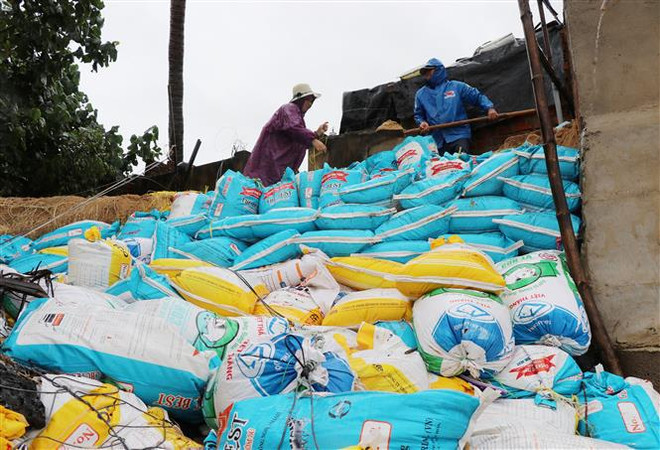 超强台风雷伊:越南部分地区面临强风雨天气 ảnh 1 超强台风雷伊:越南部分地区面临强风雨天气 ảnh 1