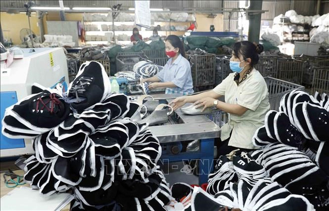 今年前7月坚江省出口额超5亿美元 ảnh 2 今年前7月坚江省出口额超5亿美元 ảnh 2