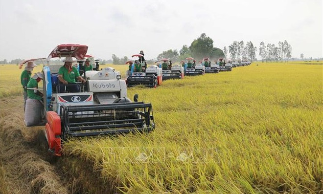  生态农业 – 未来可持续发展的方向 ảnh 1