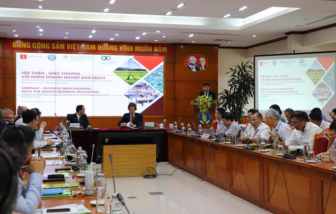 丹麦愿意协助越南深入进军欧盟市场 ảnh 1