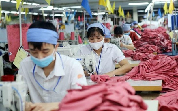 越南企业积极利用CPTPP协定实现出口的快速增长 ảnh 2 越南企业积极利用CPTPP协定实现出口的快速增长 ảnh 2