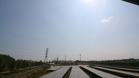 越南西南部地区首家太阳能发电厂竣工 ảnh 2 越南西南部地区首家太阳能发电厂竣工 ảnh 2