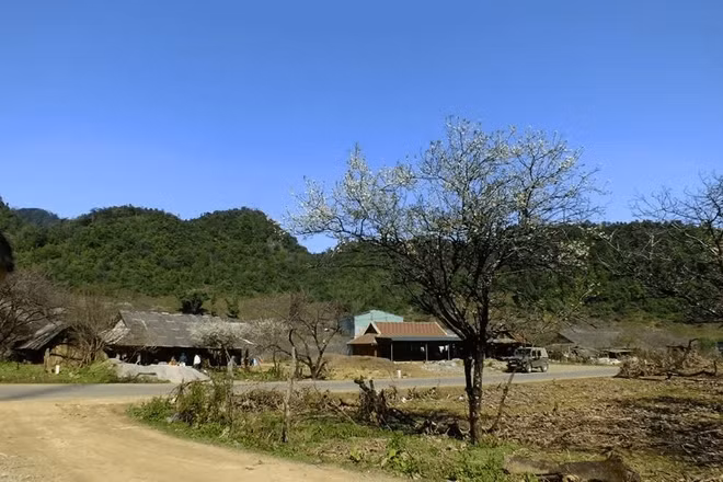 山罗省云湖县将旅游潜力化为发展力量 ảnh 2
