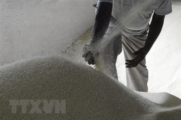 孟加拉国通过有关进口越印泰三国大米的提议 ảnh 1 孟加拉国通过有关进口越印泰三国大米的提议 ảnh 1