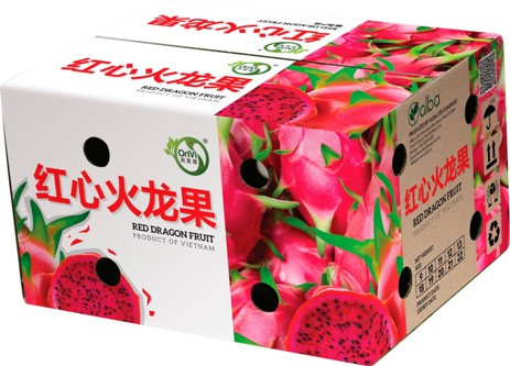 越南蔬果出口额在疫情期间逆势增长 ảnh 1