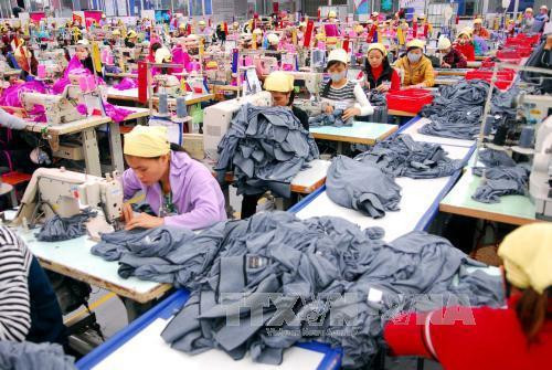 新冠疫情对越南企业影响评估报告出炉 ảnh 2 新冠疫情对越南企业影响评估报告出炉 ảnh 2