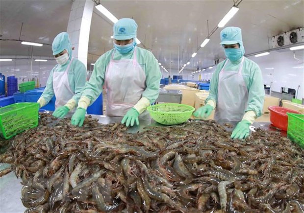 助力越南经济稳定增长的三大因素 ảnh 1 助力越南经济稳定增长的三大因素 ảnh 1