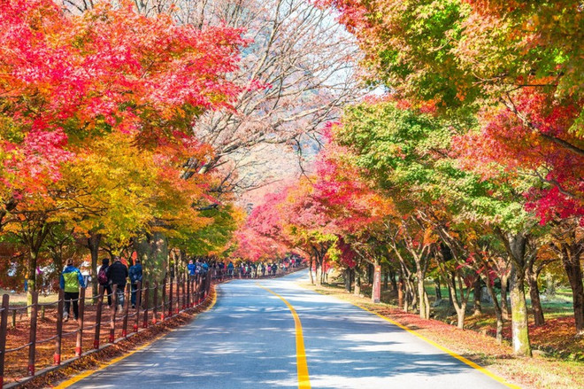 越南出境旅游市场复苏较快 ảnh 1 越南出境旅游市场复苏较快 ảnh 1